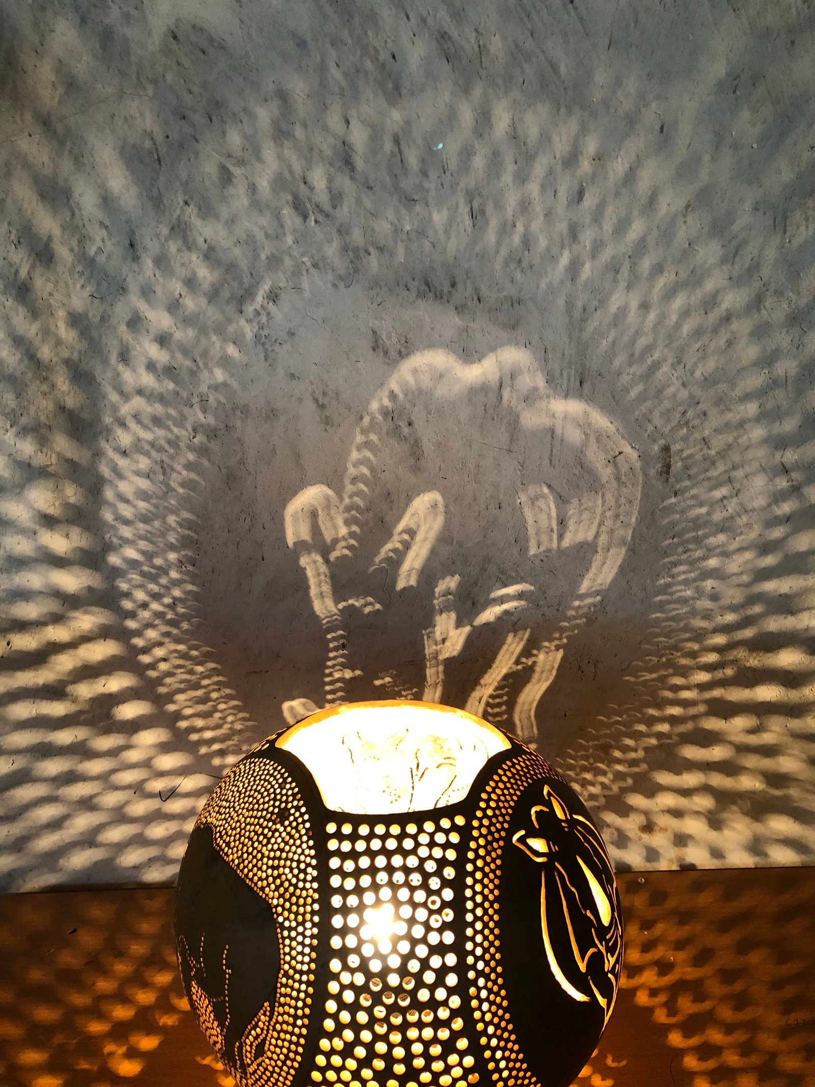 African Rhinoceros 3